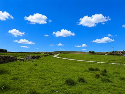 Picture 22